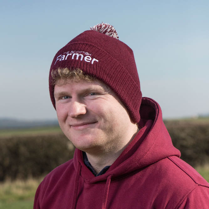 Adult Pom Pom Beanie